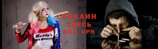 прущие грибы Балахна