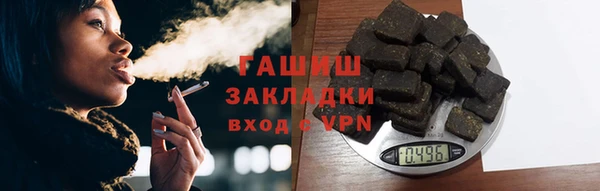 прущие грибы Балахна