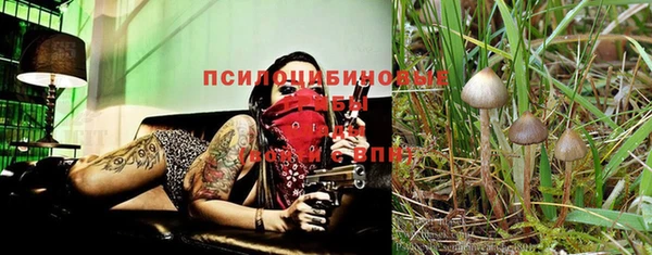 тгк Баксан