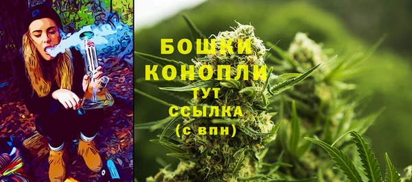 прущие грибы Балахна