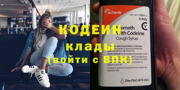 прущие грибы Балахна