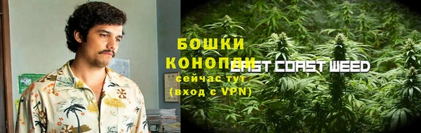 прущие грибы Балахна