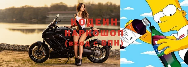 прущие грибы Балахна