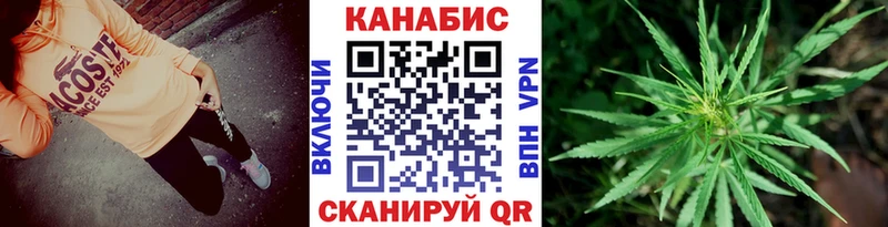 Шишки марихуана индика  продажа наркотиков  Теберда 